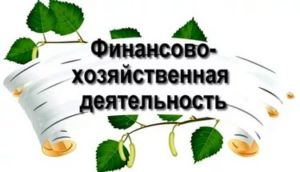 ФХД бюджет