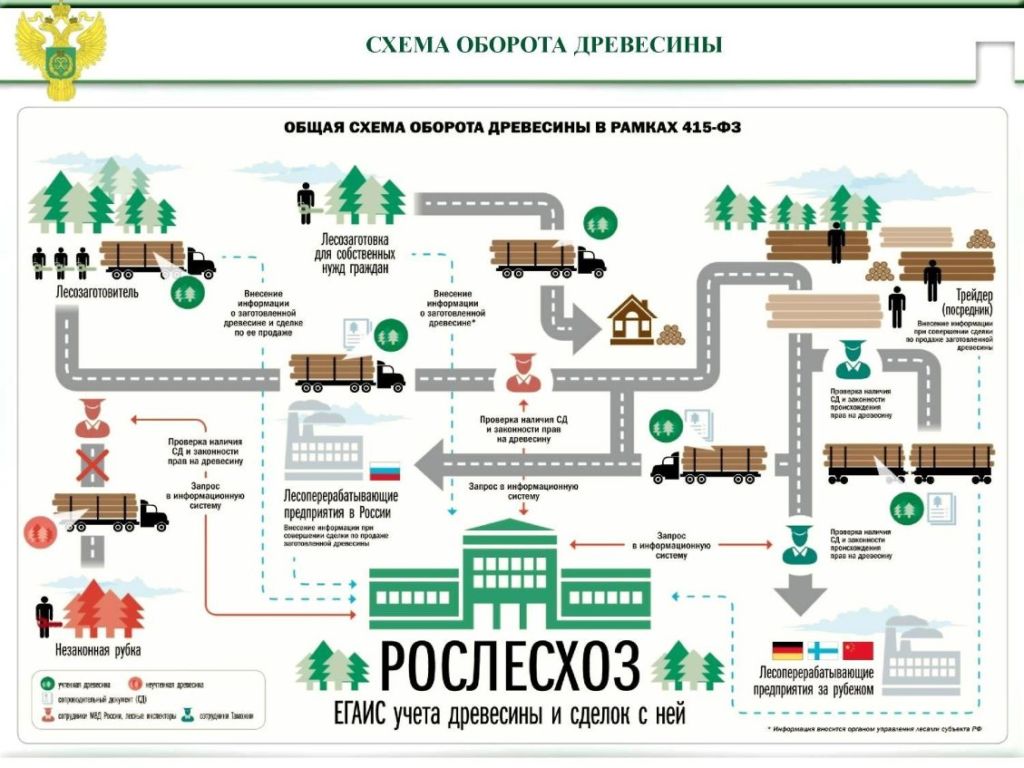 егаис древесина